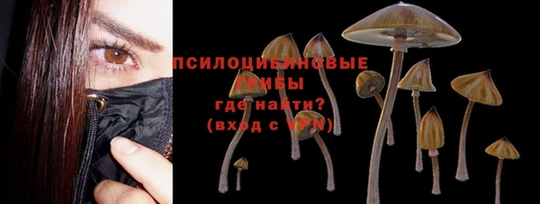каннабис Белокуриха
