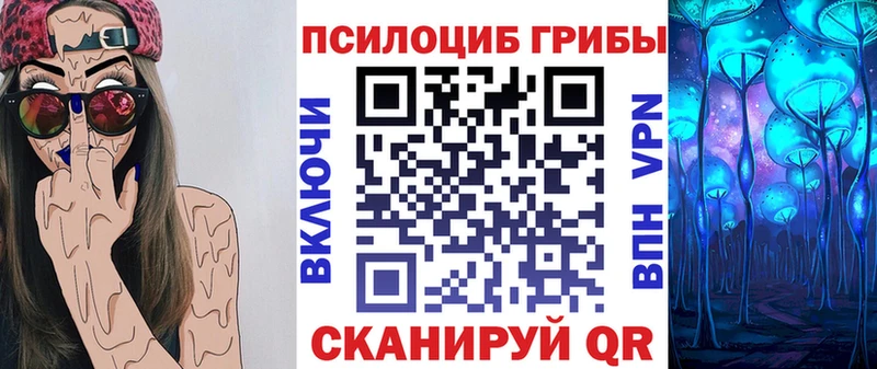 Галлюциногенные грибы прущие грибы  Купить где  Кузнецк 